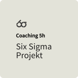 2025 - Projektcoaching L (12h) [Digital]