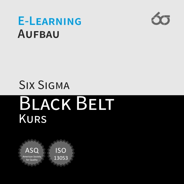 Modul 1 | Six Sigma Black Belt E-Learning Aufbaukurs [Digital]