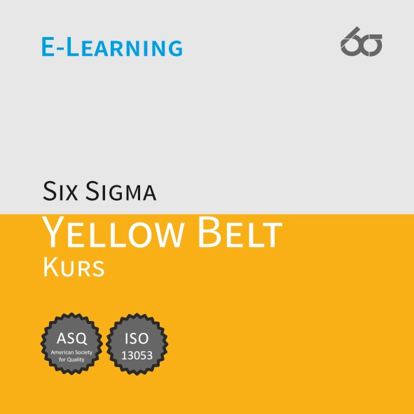 Modul 1 | Six Sigma Yellow Belt E-Learning Kurs [Digital]
