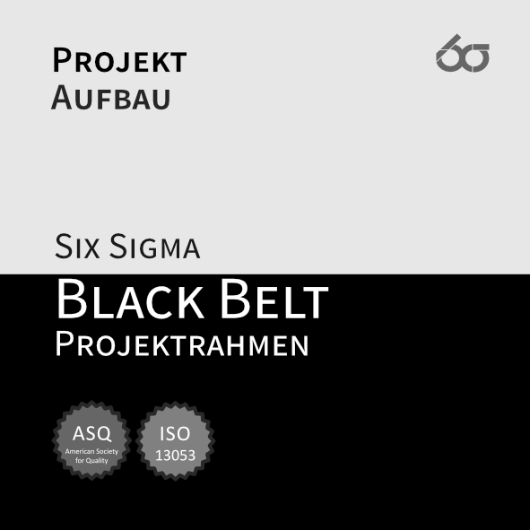 Modul 3 | Six Sigma Black Belt Projektrahmen Aufbaukurs [Digital]